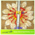 Leon series customized pan feeding system for poultry and livestock